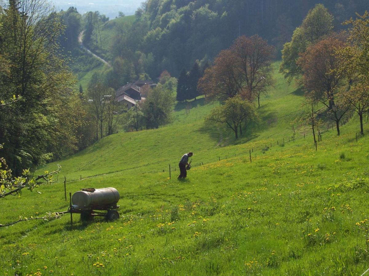 Weberhof Leilighet Samerberg Eksteriør bilde