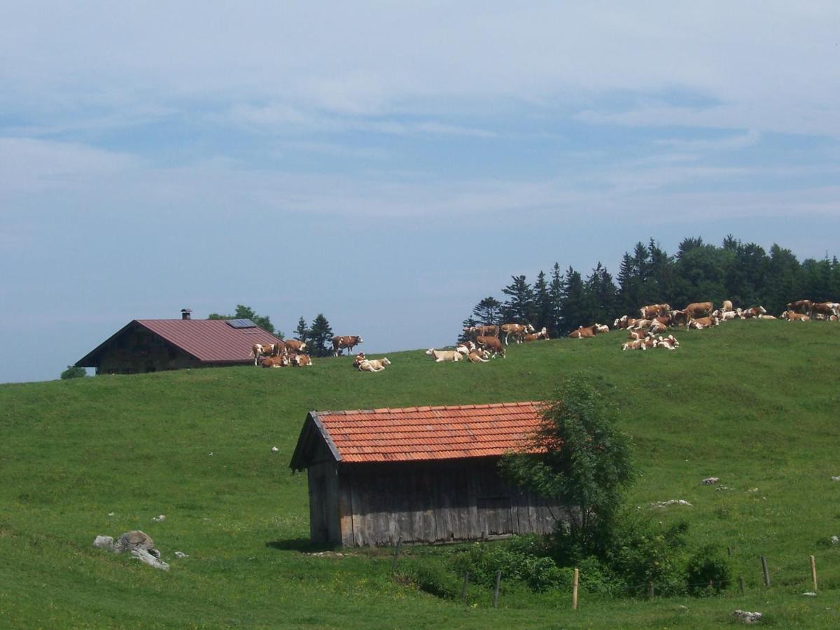Weberhof Leilighet Samerberg Eksteriør bilde